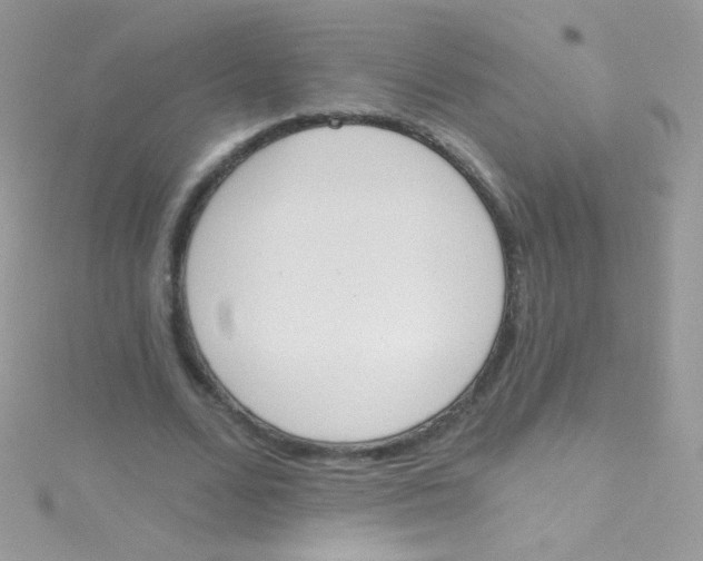 X0000115420680200911241348