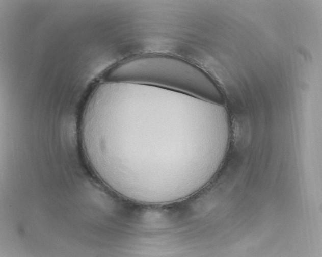 X0000115420684200911241348