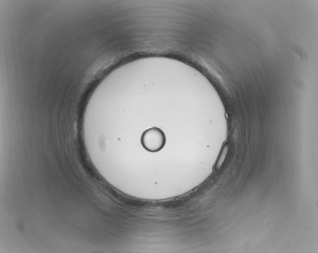 X0000115420685200911241348