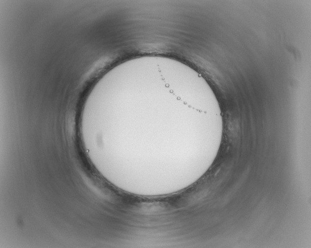 X0000115420686200911241348