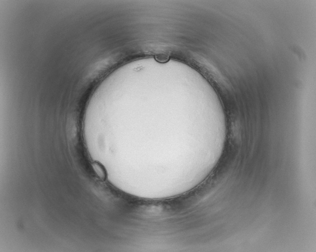 X0000115420687200911241348