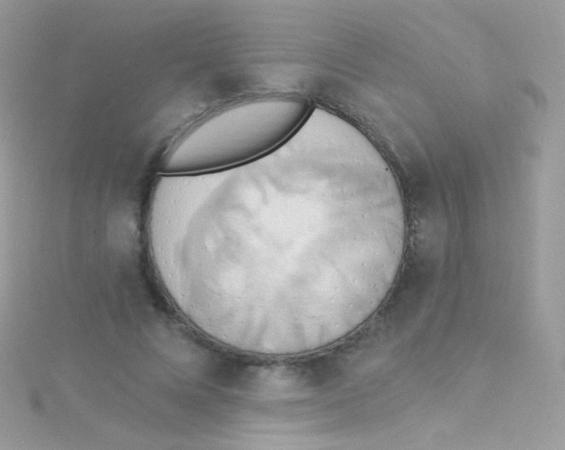 X0000115420688200911241348