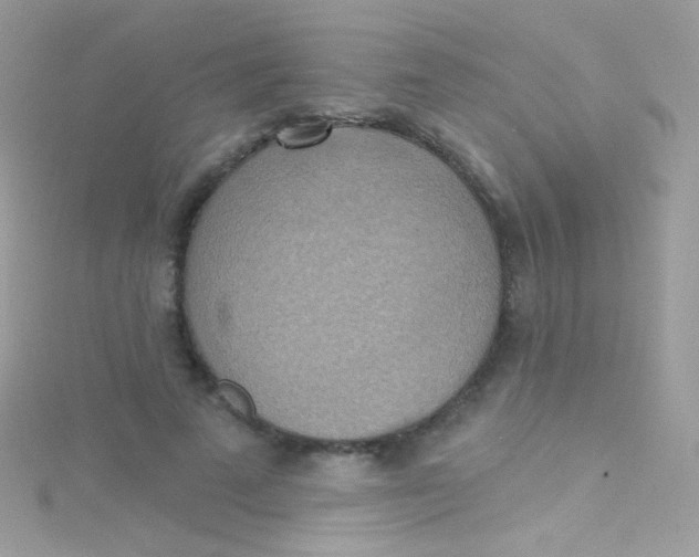 X0000115420689200911241348