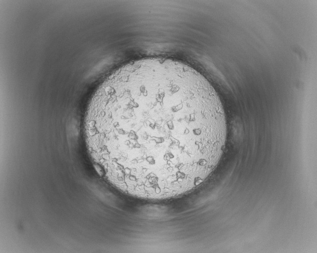 X0000115420691200911241348