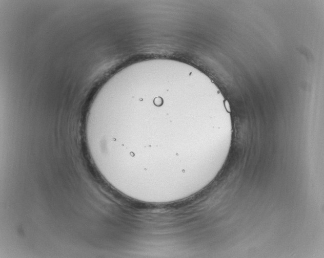 X0000115420692200911241348