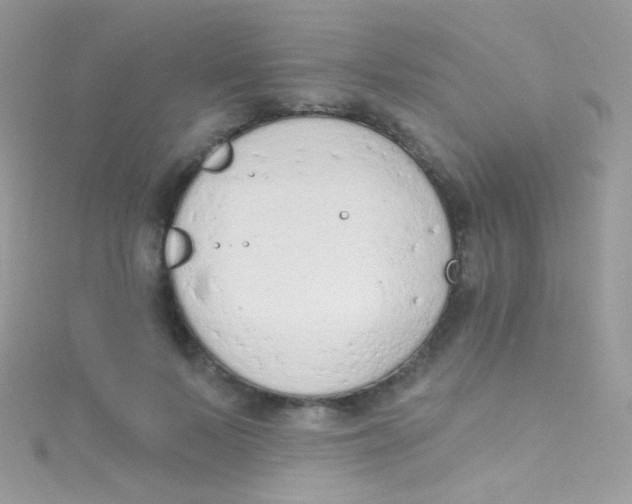 X0000115420695200911241348