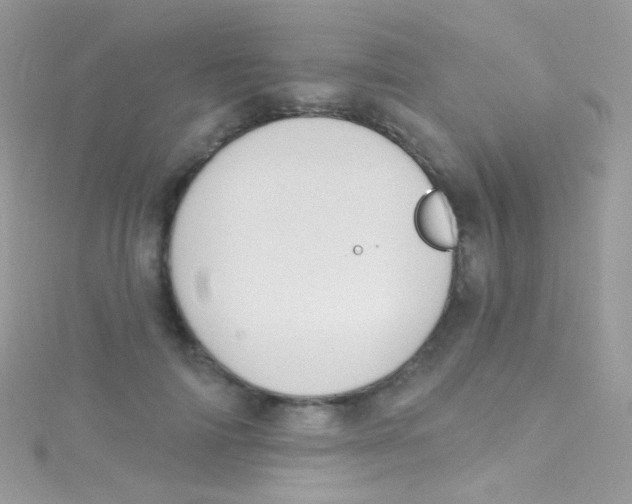 X0000115420698200911241348