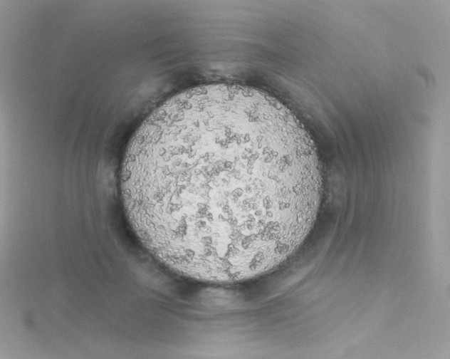 X0000115420699200911241348