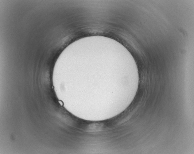 X0000115420700200911241348