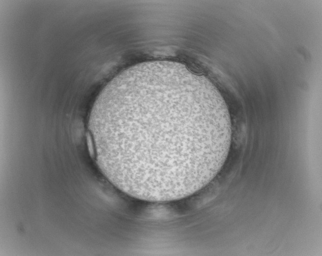 X0000115420704200911241348