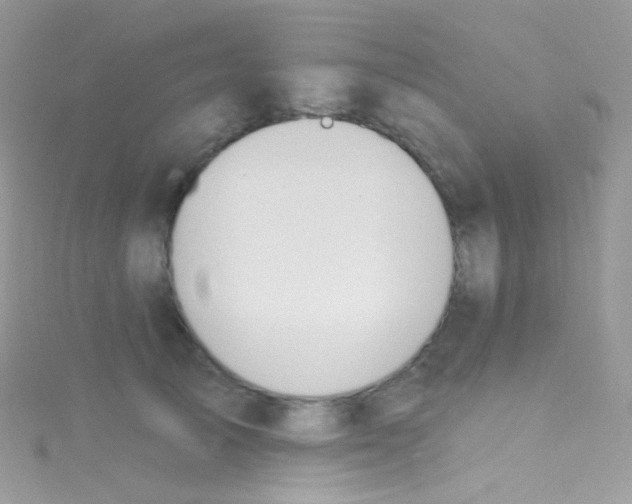 X0000115420705200911241348