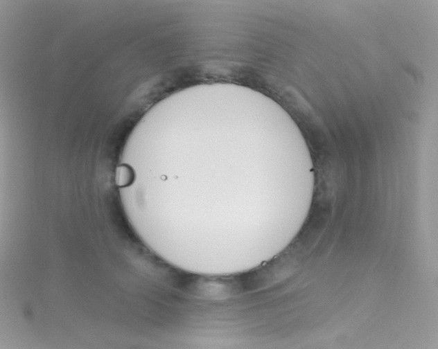 X0000115420706200911241348