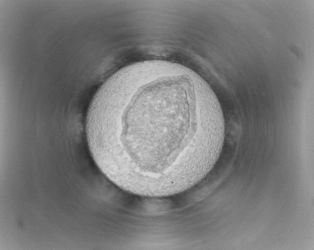 X0000115420707200911241348