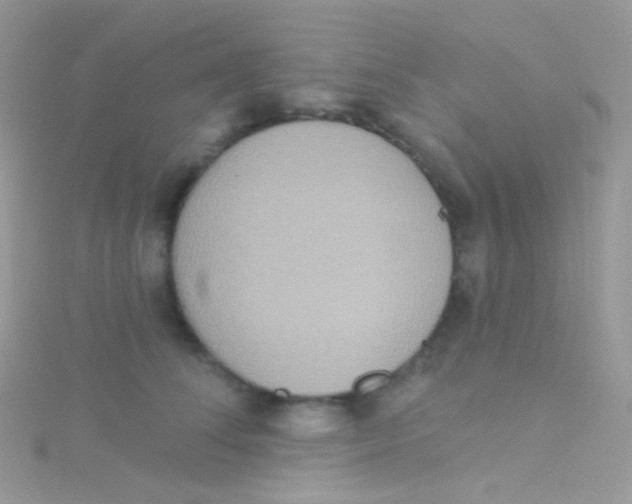 X0000115420708200911241348