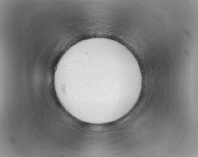 X0000115420709200911241348