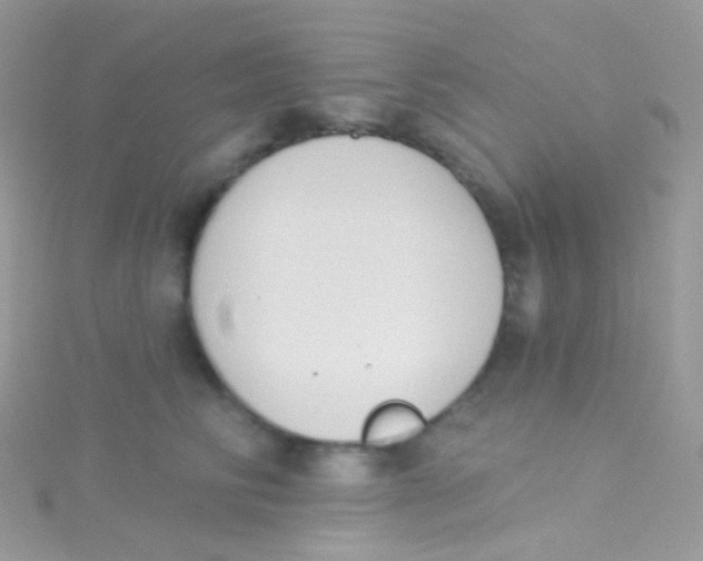 X0000115420710200911241348