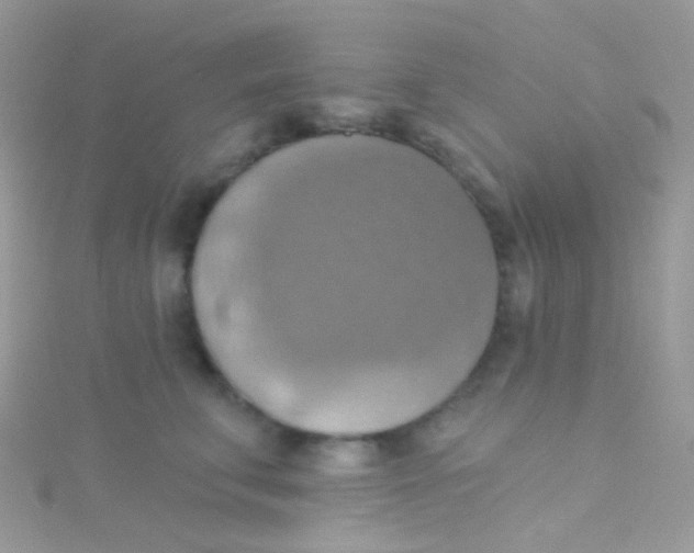 X0000115420711200911241348