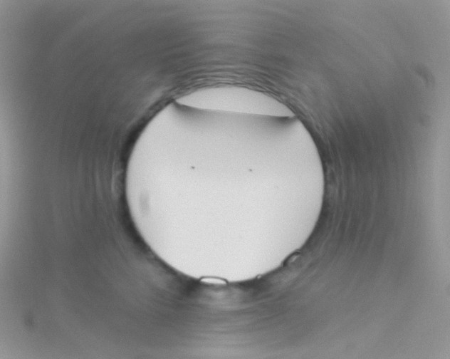 X0000115420712200911241348