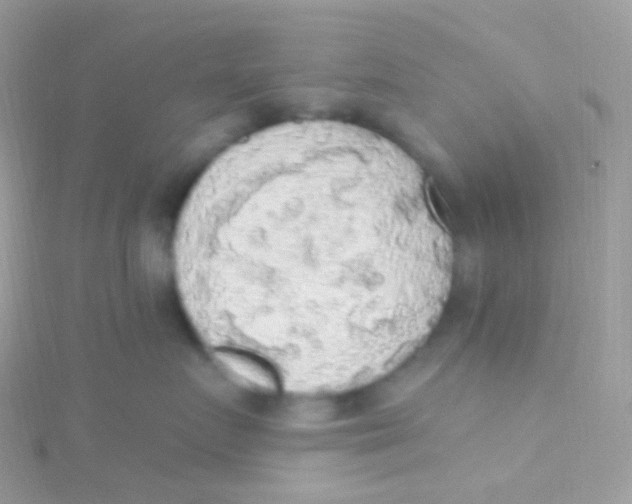 X0000115420719200911241348