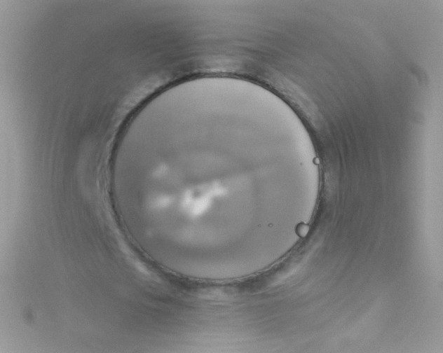 X0000115420721200911241347