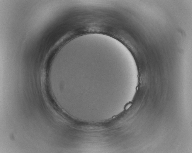 X0000115420722200911241347