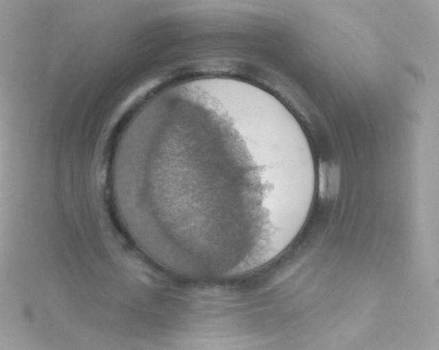 X0000115420723200911241347