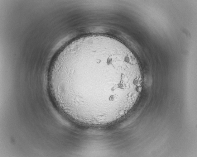 X0000115420725200911241347