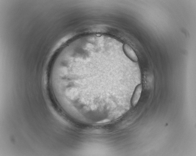 X0000115420726200911241347