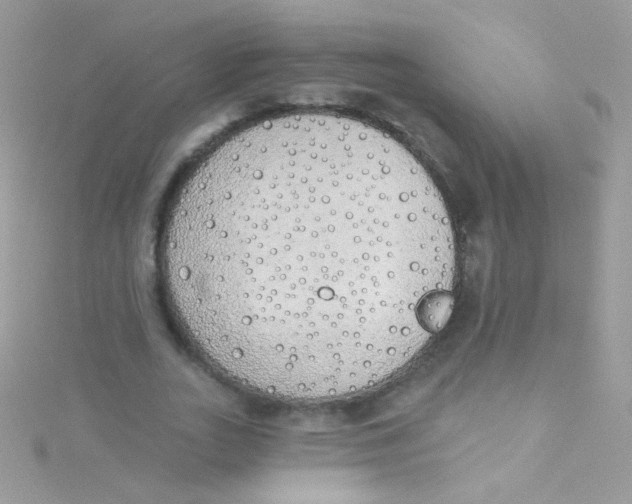 X0000115420727200911241347