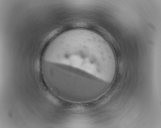 X0000115420729200911241347