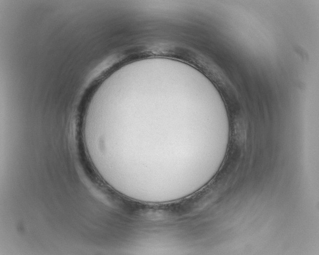 X0000115420730200911241347