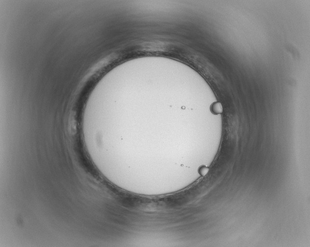 X0000115420731200911241347