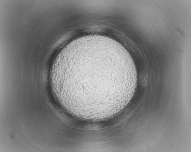 X0000115420735200911241348