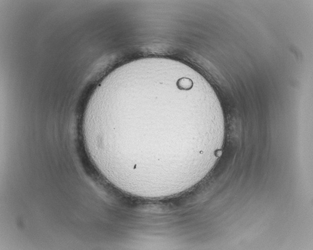 X0000115420738200911241348