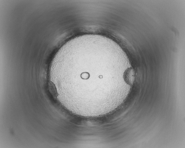 X0000115420739200911241348