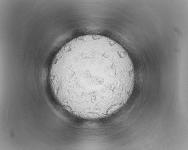 X0000115420742200911241348