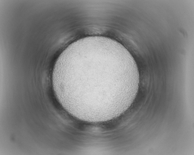 X0000115420743200911241348