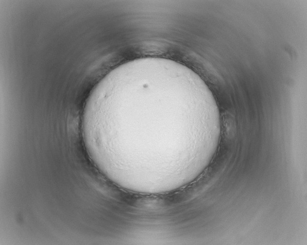 X0000115420745200911241348