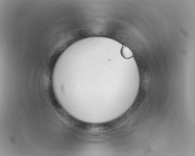 X0000115420746200911241348