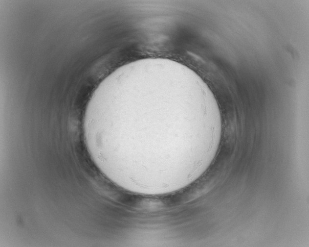 X0000115420749200911241348