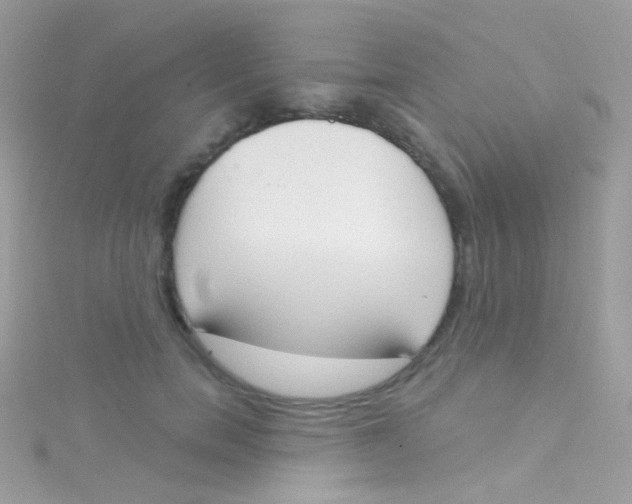 X0000115420750200911241348