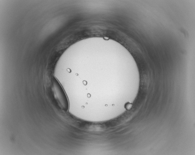 X0000115420751200911241348