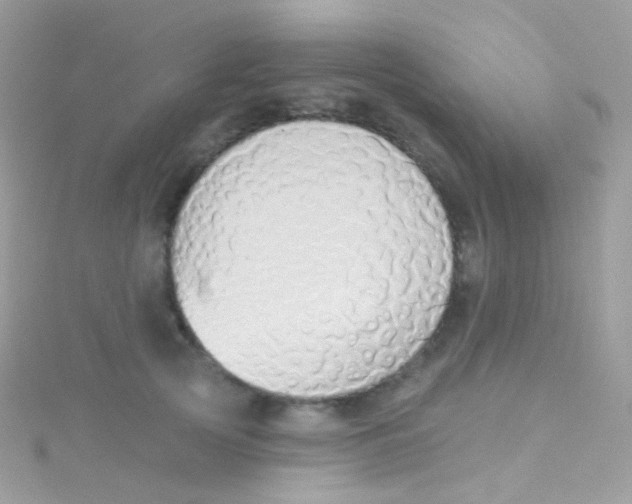 X0000115420753200911241348