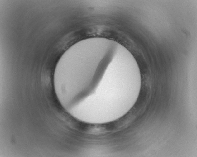 X0000115420754200911241348