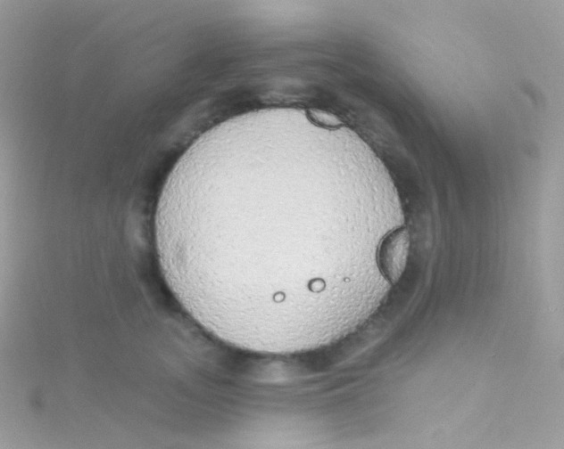 X0000115420755200911241348