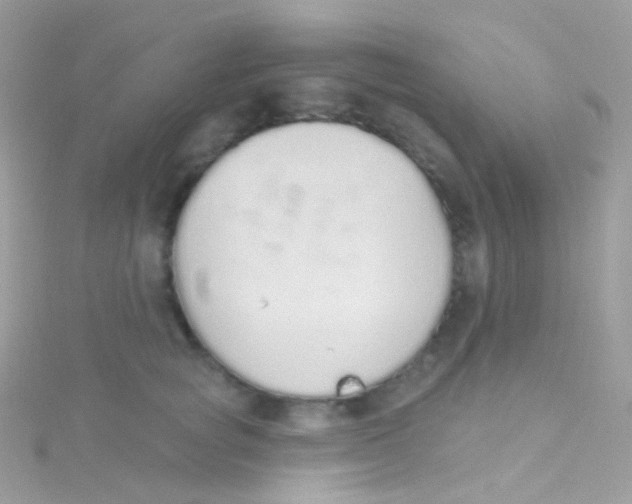 X0000115420757200911241348