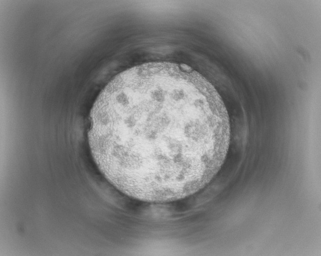 X0000115420758200911241348