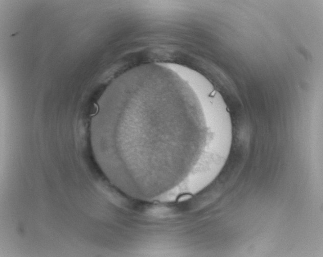 X0000115420759200911241348