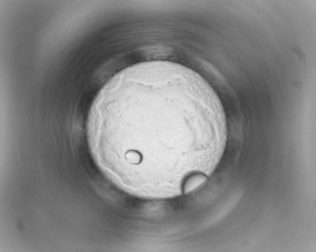 X0000115420761200911241348