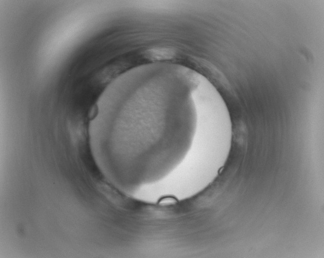 X0000115420763200911241348